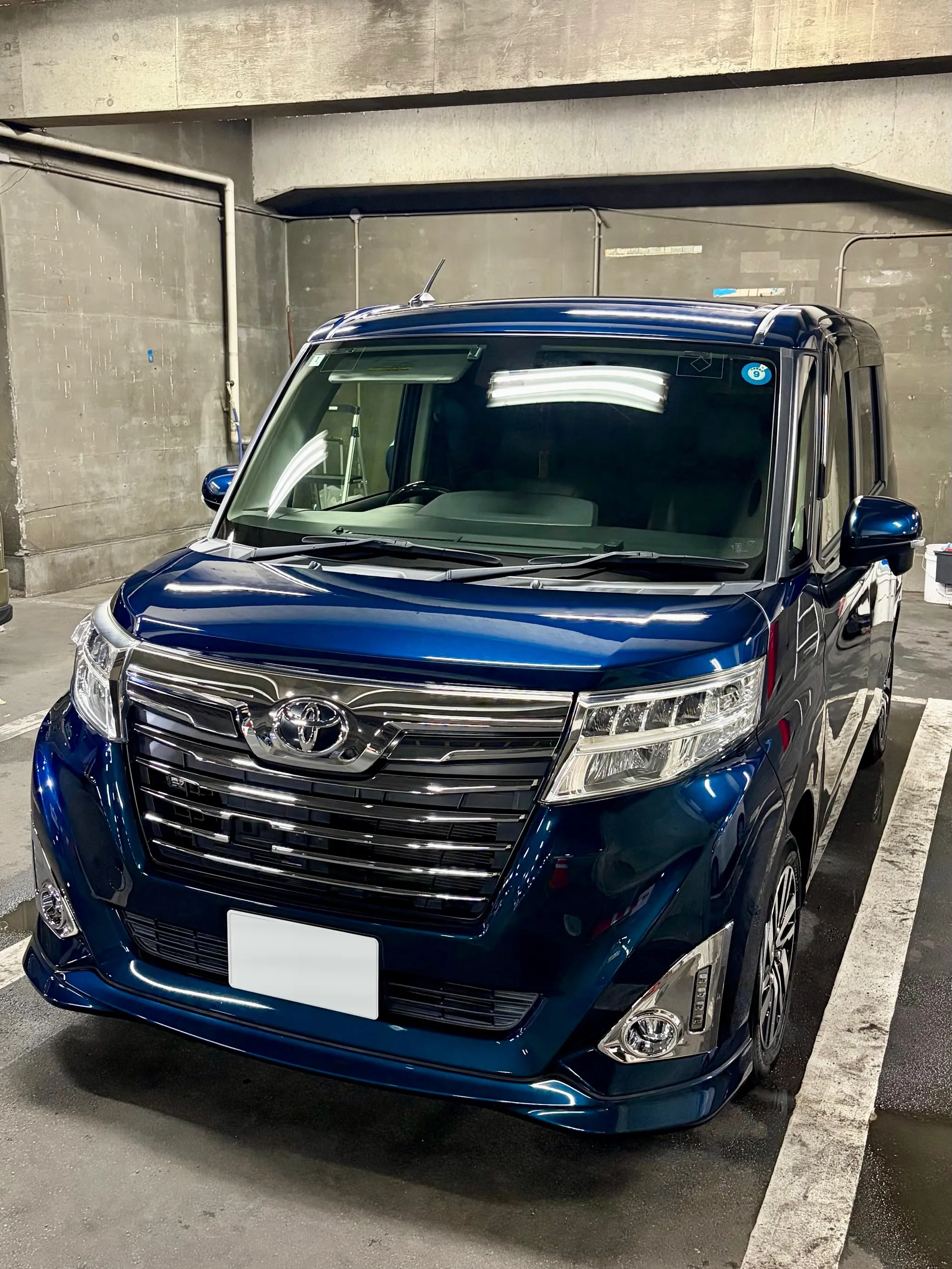 メガ桐生ドンキ🐧 出店ありがとうございました🙇‍♂️ ルーミ...