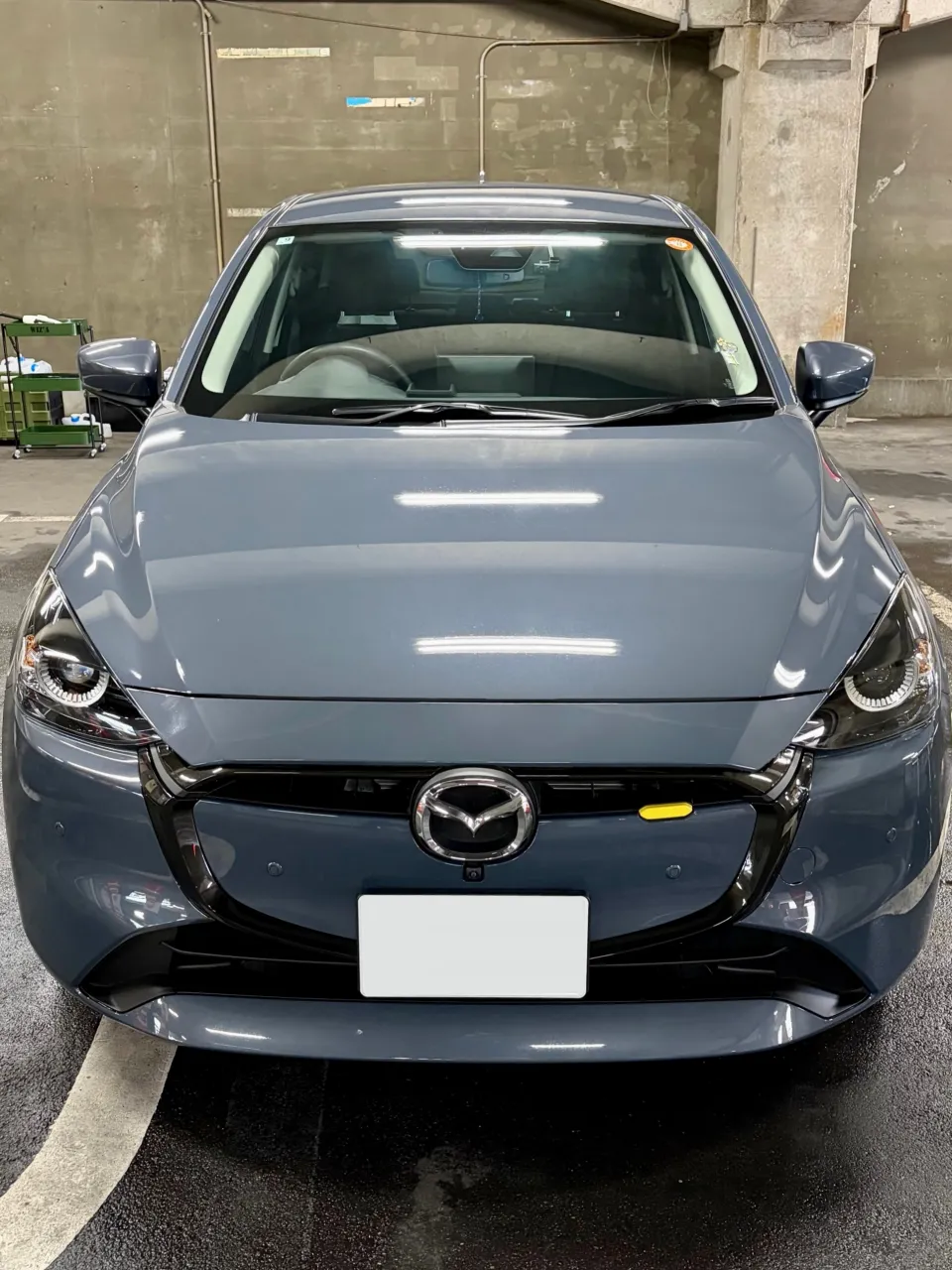 メガ桐生ドンキ🐧  10/31(土)より出店🚘🎶 マツダ２ ...