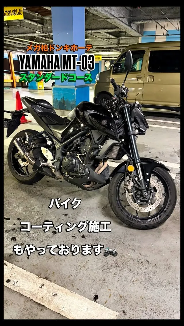 メガ柏ドンキホーテ🐧