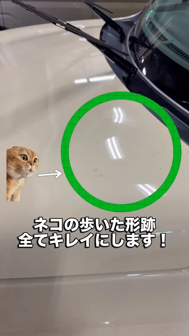 メガ桐生ドンキホーテ🐧